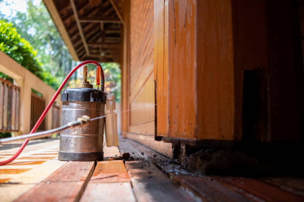 Best Affordable Pest Control Services  in Emmetsburg, IA